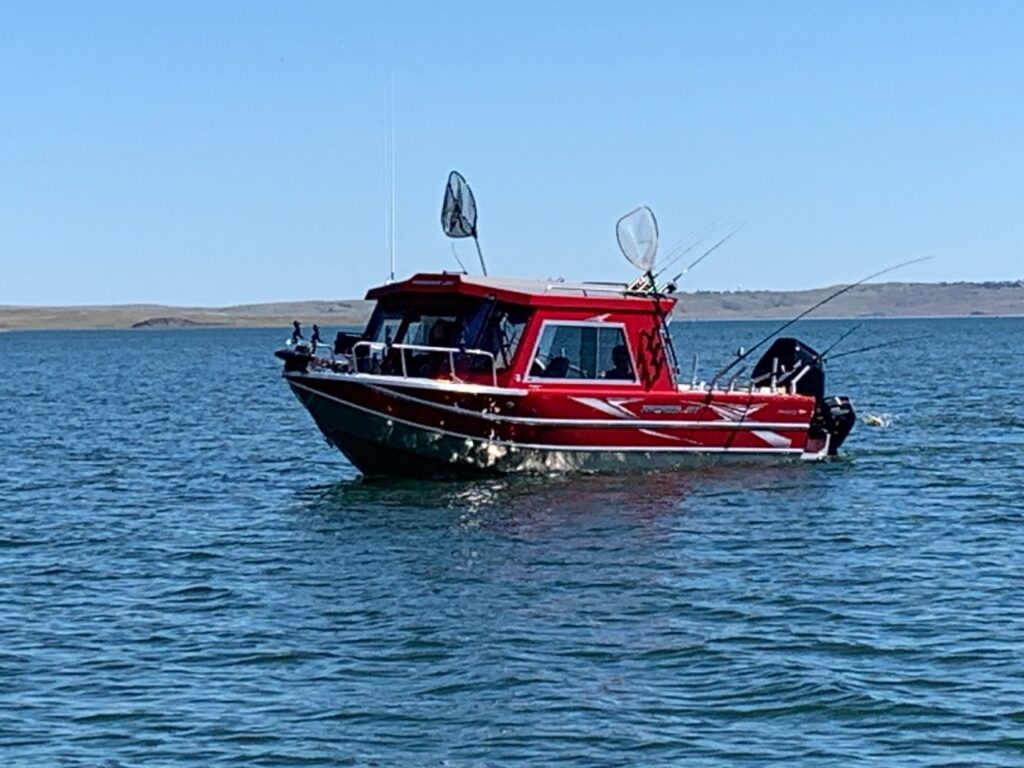 angry walleye guide service